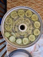 Sliced Dehydrator.jpg