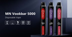 MN 5000 disposable vape-01.jpg