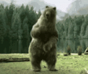 happy-bear.gif