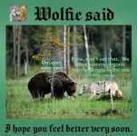 Wolfie Jimi get well card 2024 v4.jpg