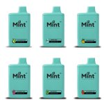 Mint Vapor Disposable (6500 Puffs) - Buy 1 Get 1 Free.jpg