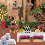 Red tile place SO nKad fnal.png