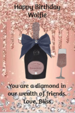 Wolfie diamond birthday card 2025.png