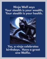 Wolfie ninja card 2025.png