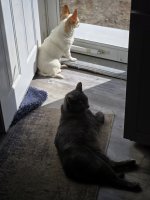 1000014638.jpg 1000014638.jpg