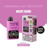 waspe aiviou 25000.jpg