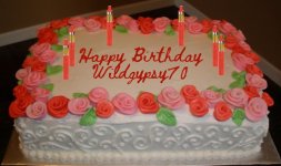 Wild gypsy bday cake 2025.JPG