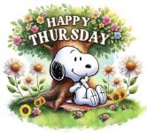 1744276249035.jpeg 1744276249035.jpeg