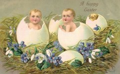 Postcard Babies Eggs.JPG