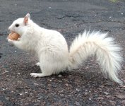 20250426_160449~2.jpg 20250426_160449~2.jpg