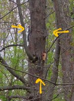 20250426_155909~4.jpg 20250426_155909~4.jpg