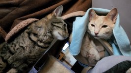 1000014981.jpg 1000014981.jpg