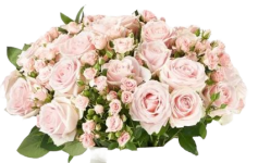 Table roses cutout nu.png
