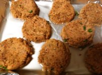 Falafel patties 11May25.jpg Falafel patties 11May25.jpg