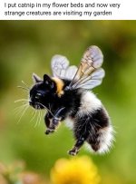 1000002235.jpg 1000002235.jpg