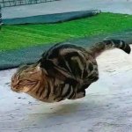 1000002121.jpg 1000002121.jpg