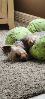 1000002246.jpg 1000002246.jpg