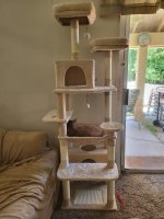 cat tree 1.jpg cat tree 1.jpg