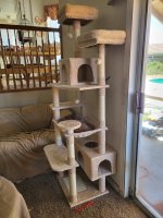 cat tree 2.jpg cat tree 2.jpg