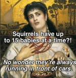Squirrels babies.png