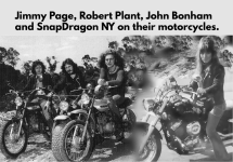 Page Plant Bonham n Snap.png