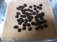 IO Mounds step 1.jpg