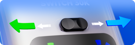 Switch Between two flavours Switch Between two flavours