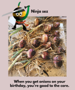 Goph onions 2025 ninja card.png