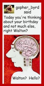 Walton Male Brain card v3.jpg