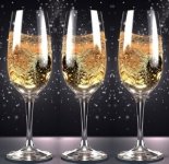 Freyja champagne day 2.jpg