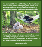 Wolfie Jimi 10 years card (1).png Wolfie Jimi 10 years card (1).png