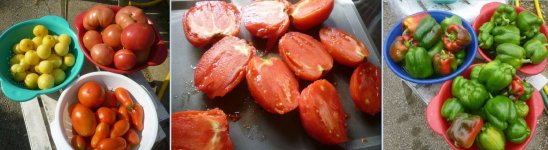 Jimi maters maters pepprs.JPG Jimi maters maters pepprs.JPG