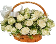 White roses.png White roses.png