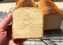 IMG_2115 - VU.jpg IMG_2115 - VU.jpg