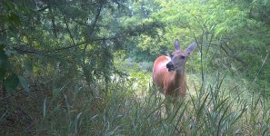 1000015925.jpg 1000015925.jpg