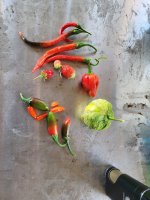 SmallHarvest 8-22.jpg