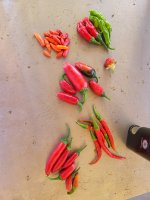 peppers 9-15.jpg