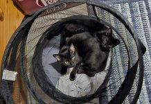 1000016290.jpg 1000016290.jpg