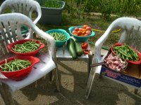 P1500997.JPG P1500997.JPG