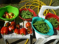 P1510027.JPG P1510027.JPG