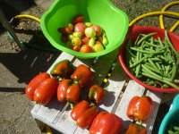 P1510028.JPG P1510028.JPG