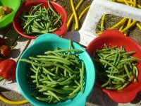 P1510029.JPG P1510029.JPG