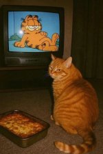 hmgarf.jpg