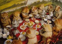 MissWish party 2026.JPG