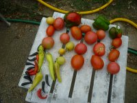 P1510098.JPG P1510098.JPG