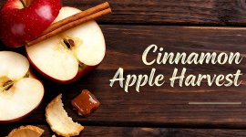 ytoo e-liquid manufacturer autumn flavors-02.jpg ytoo e-liquid manufacturer autumn flavors-02.jpg