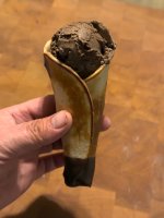 IMG_2837 (Large).jpg IMG_2837 (Large).jpg