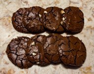 IMG_2973 (Medium).jpg IMG_2973 (Medium).jpg