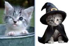 Misswish n costume.JPG