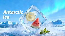 ytoo e-liquid manufacturer november flavor-03.jpg ytoo e-liquid manufacturer november flavor-03.jpg